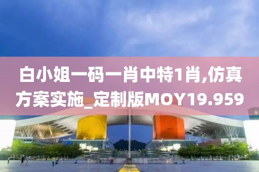 白小姐一码一肖中特1肖,仿真方案实施_定制版MOY19.959