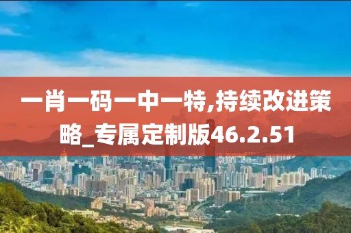 一肖一码一中一特,持续改进策略_专属定制版46.2.51