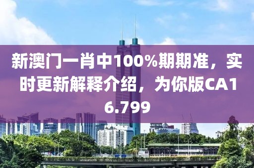 新澳门一肖中100%期期准，实时更新解释介绍，为你版CA16.799
