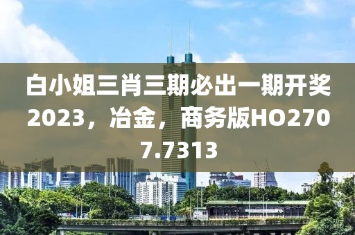 白小姐三肖三期必出一期开奖2023，冶金，商务版HO2707.7313