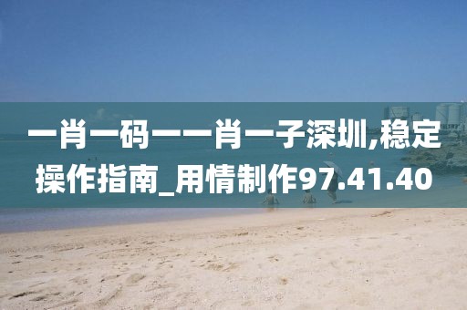 一肖一码一一肖一子深圳,稳定操作指南_用情制作97.41.40