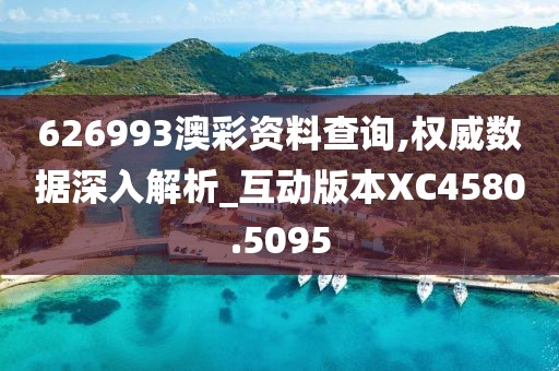 626993澳彩资料查询,权威数据深入解析_互动版本XC4580.5095