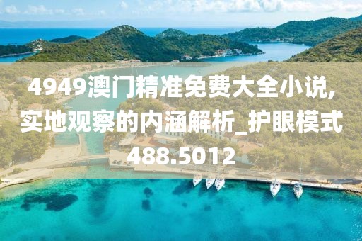 4949澳门精准免费大全小说,实地观察的内涵解析_护眼模式488.5012