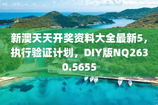 新澳天天开奖资料大全最新5，执行验证计划，DIY版NQ2630.5655