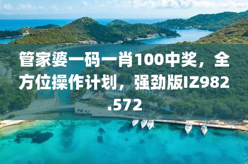 管家婆一码一肖100中奖，全方位操作计划，强劲版IZ982.572