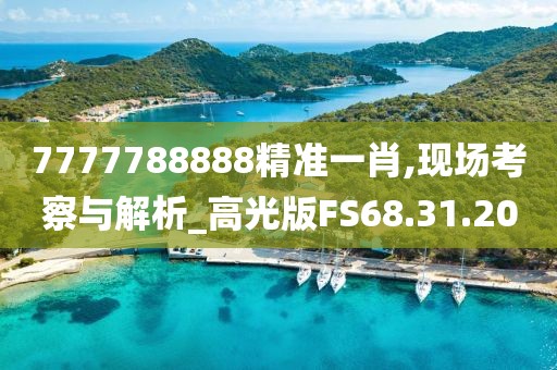 7777788888精准一肖,现场考察与解析_高光版FS68.31.20