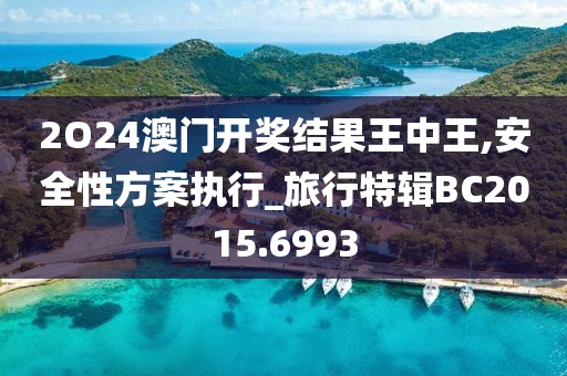 2O24澳门开奖结果王中王,安全性方案执行_旅行特辑BC2015.6993