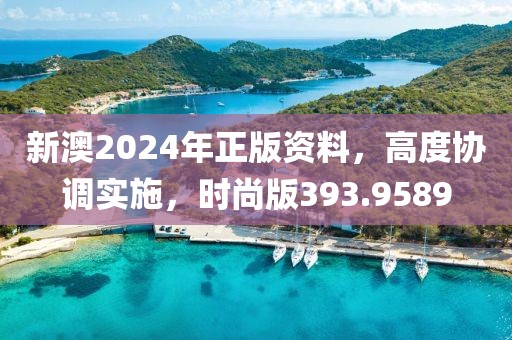 新澳2024年正版资料，高度协调实施，时尚版393.9589