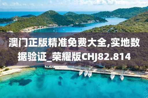 澳门正版精准免费大全,实地数据验证_荣耀版CHJ82.814