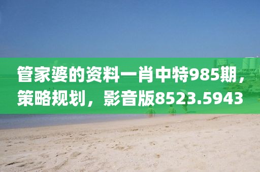 管家婆的资料一肖中特985期，策略规划，影音版8523.5943