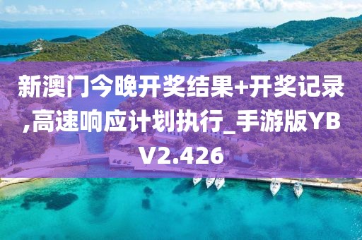 新澳门今晚开奖结果+开奖记录,高速响应计划执行_手游版YBV2.426
