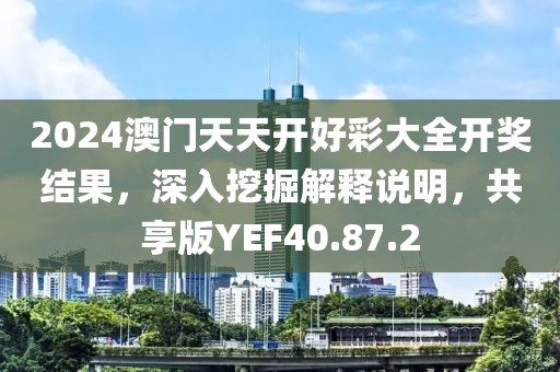 2024澳门天天开好彩大全开奖结果，深入挖掘解释说明，共享版YEF40.87.2