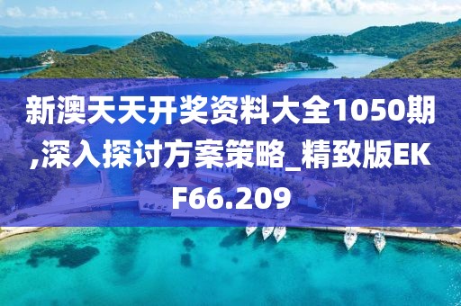新澳天天开奖资料大全1050期,深入探讨方案策略_精致版EKF66.209
