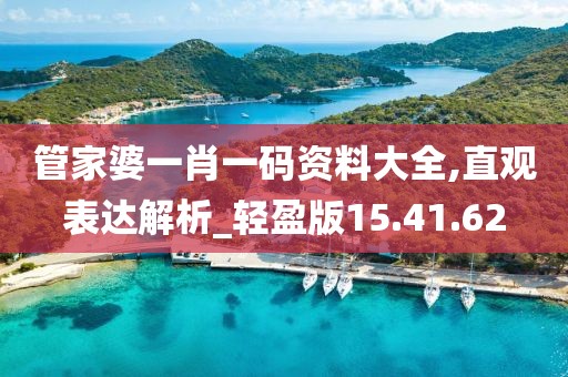 管家婆一肖一码资料大全,直观表达解析_轻盈版15.41.62
