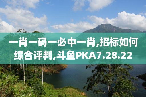 一肖一码一必中一肖,招标如何综合评判,斗鱼PKA7.28.22
