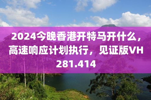 2024今晚香港开特马开什么，高速响应计划执行，见证版VH281.414