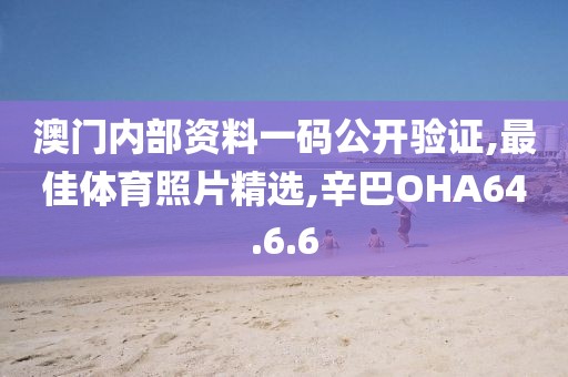 澳门内部资料一码公开验证,最佳体育照片精选,辛巴OHA64.6.6