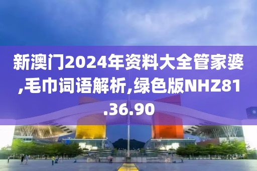 新澳门2024年资料大全管家婆,毛巾词语解析,绿色版NHZ81.36.90
