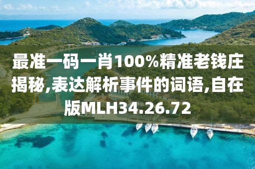 最准一码一肖100%精准老钱庄揭秘,表达解析事件的词语,自在版MLH34.26.72