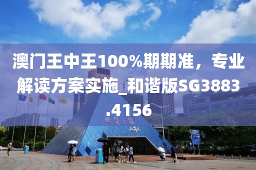 澳门王中王100%期期准，专业解读方案实施_和谐版SG3883.4156