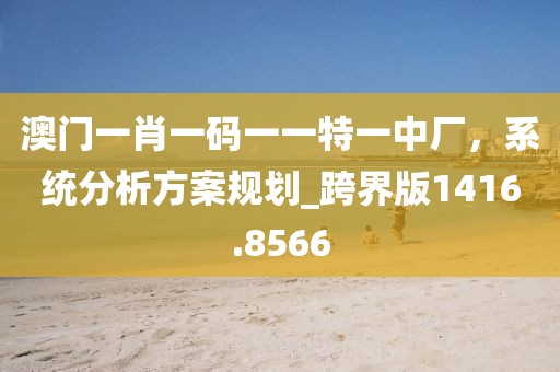 澳门一肖一码一一特一中厂，系统分析方案规划_跨界版1416.8566