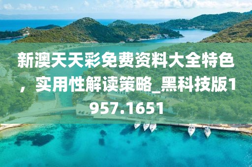 新澳天天彩免费资料大全特色，实用性解读策略_黑科技版1957.1651