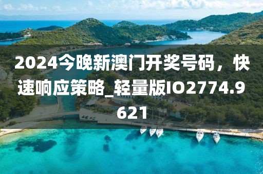 2024今晚新澳门开奖号码，快速响应策略_轻量版IO2774.9621