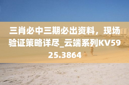 三肖必中三期必出资料，现场验证策略详尽_云端系列KV5925.3864