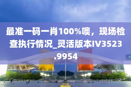 最准一码一肖100%噢，现场检查执行情况_灵活版本IV3523.9954