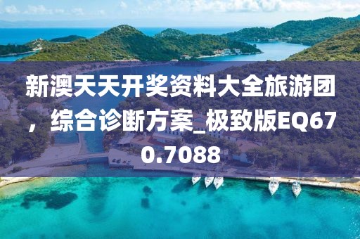 新澳天天开奖资料大全旅游团，综合诊断方案_极致版EQ670.7088