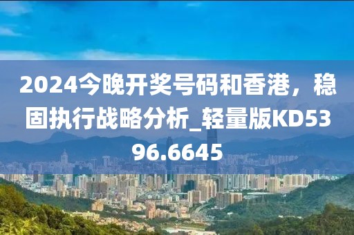 2024今晚开奖号码和香港，稳固执行战略分析_轻量版KD5396.6645