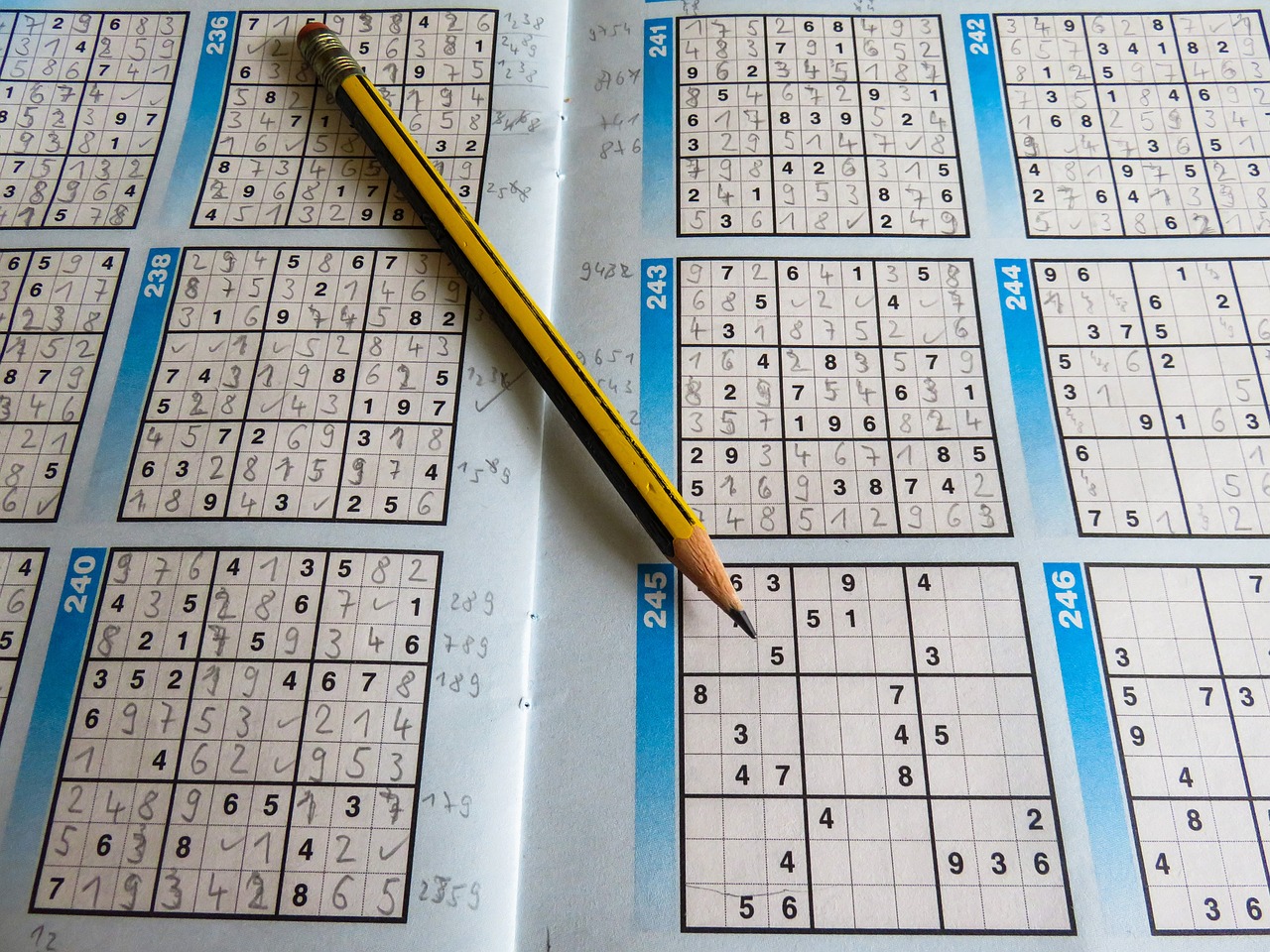 2024澳彩开奖记录查询表,快速产出解决方案_用心版OKV44.637